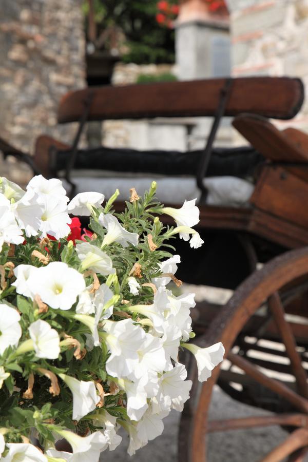 Agriturismo Il Calesse Quarrata Bagian luar foto