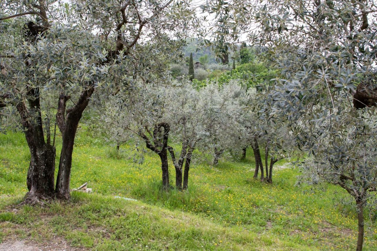 Agriturismo Il Calesse Quarrata Bagian luar foto